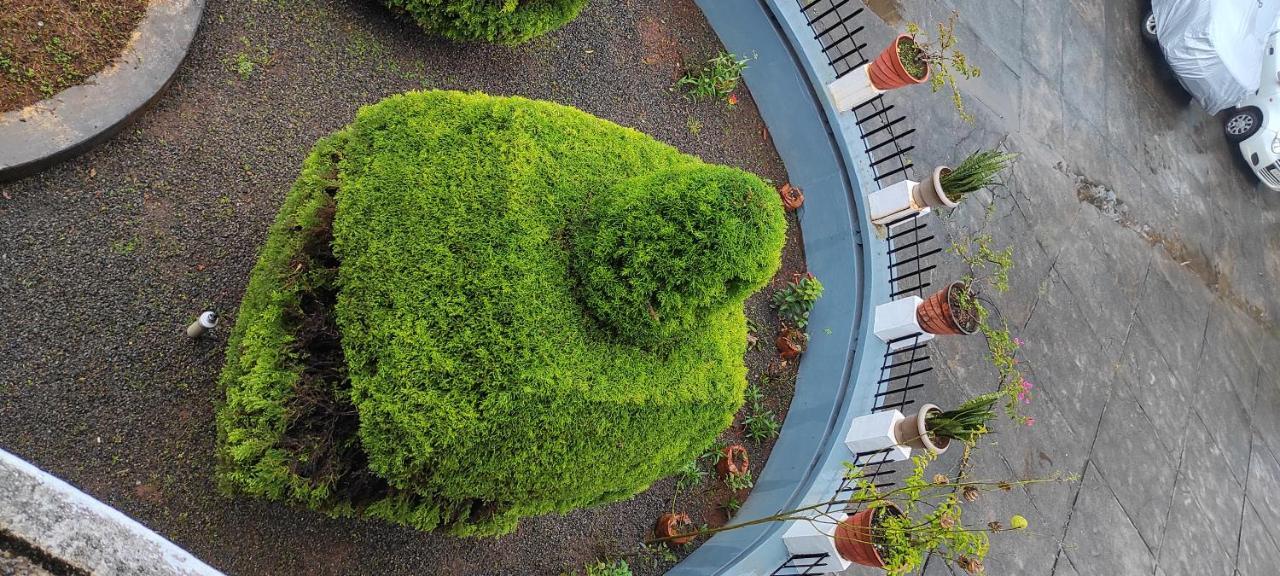 Pepper Valley Resort Калпетта Экстерьер фото